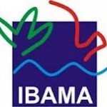 Gabarito Oficial do Concurso do IBAMA 2012 (CESPE)