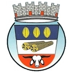 Gabarito Oficial Concurso Prefeitura de Medeiros Neto BA 2012 (Neto Ágora)   