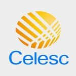 Celesc 2013